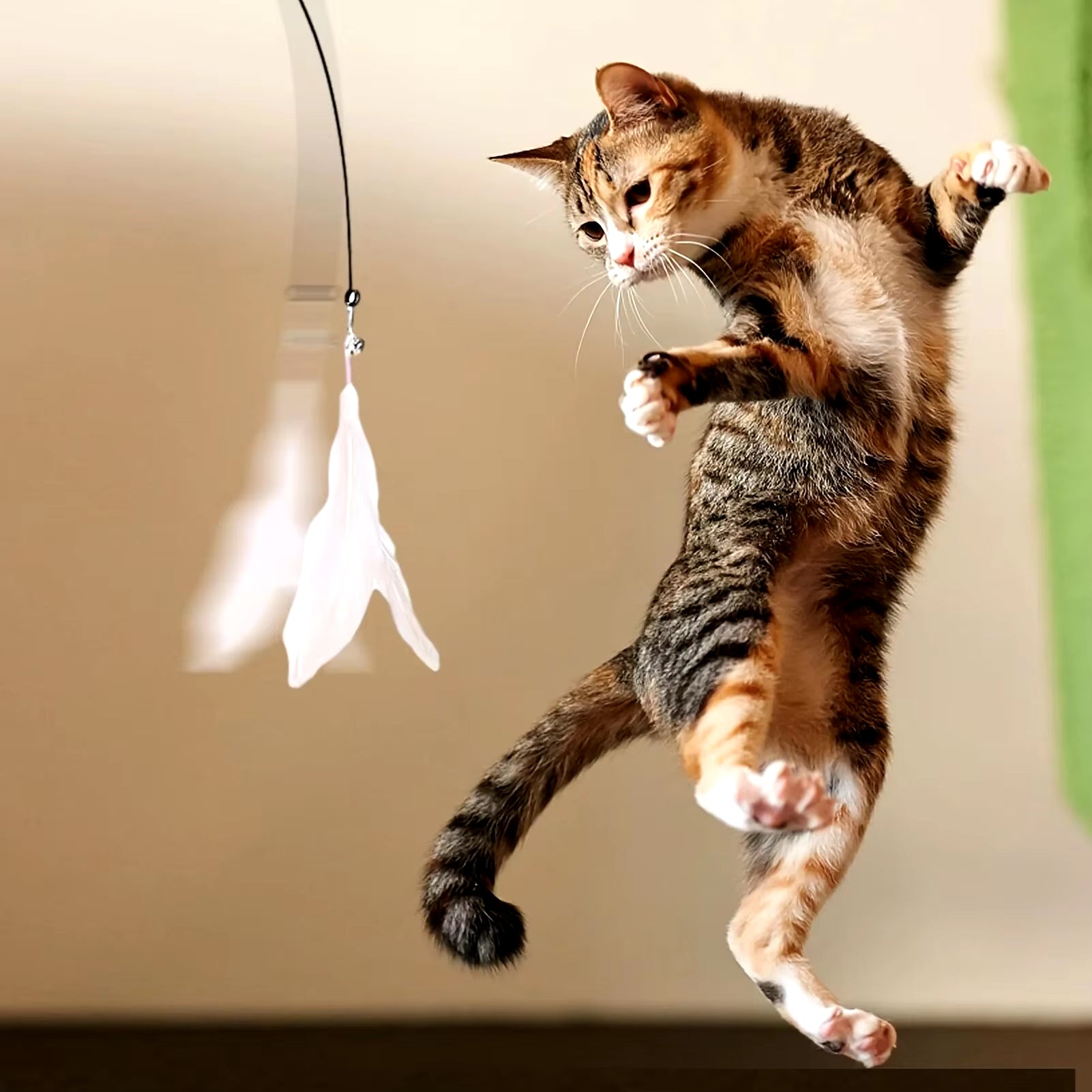 Interactive Cat Feather Teaser Wand Toy with Suction Cup Base & Bell | Long Wire Pole Exercise Toy for Indoor Cats & Kittens | Hands-Free & Manual Play