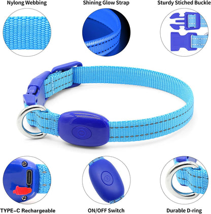 Light Up LED Dog Collar for Small Dogs & Cats | Rechargeable & Reflective Glowing Safety Collar | High-Visibility Night Walking Lights for Puppies & Pets (Royal Blue)