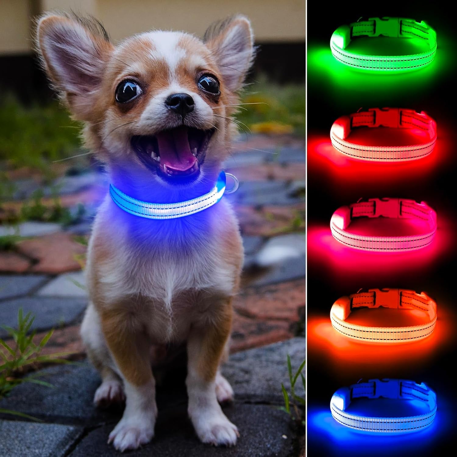 Light Up LED Dog Collar for Small Dogs & Cats | Rechargeable & Reflective Glowing Safety Collar | High-Visibility Night Walking Lights for Puppies & Pets (Royal Blue)