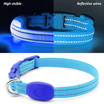 Light Up LED Dog Collar for Small Dogs & Cats | Rechargeable & Reflective Glowing Safety Collar | High-Visibility Night Walking Lights for Puppies & Pets (Royal Blue)