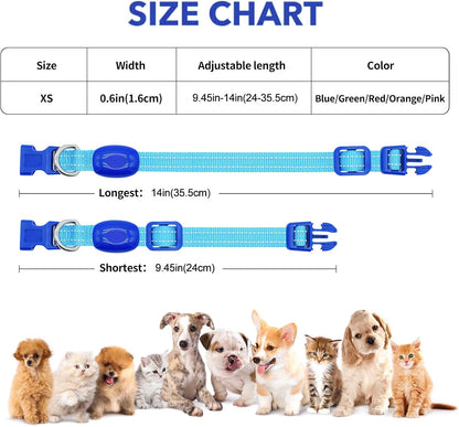 Light Up LED Dog Collar for Small Dogs & Cats | Rechargeable & Reflective Glowing Safety Collar | High-Visibility Night Walking Lights for Puppies & Pets (Royal Blue)
