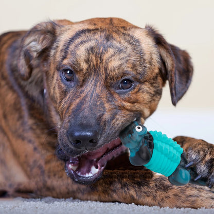 Indestructible Dog Toys for Aggressive Chewers | Heavy-Duty Tough Rubber Dog Chew Toy for Large Breeds & Power Chewers | Durable Dental Care Toy for Boredom & Anxiety Relief (Blue)